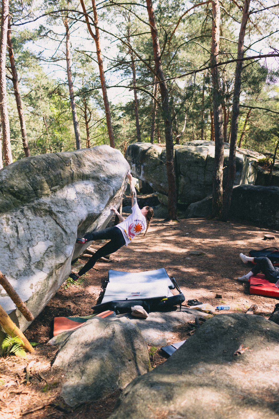Fontainebleau