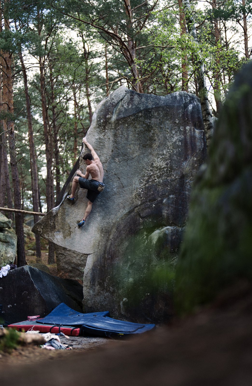 Fontainebleau