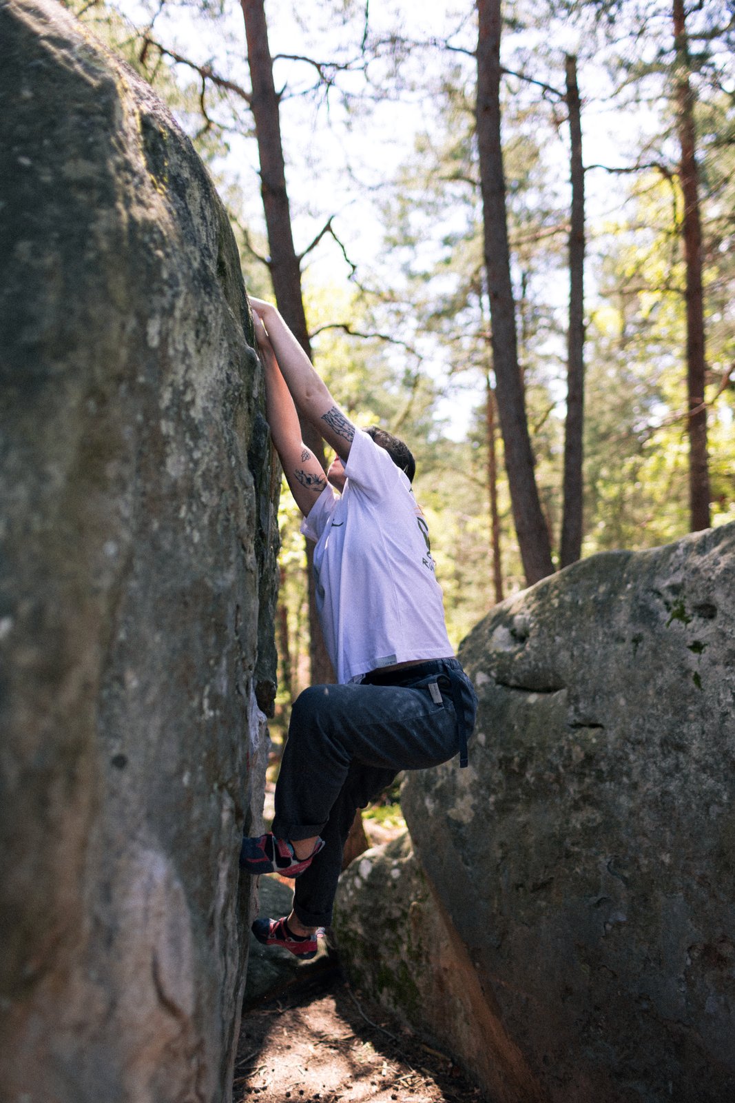 Fontainebleau