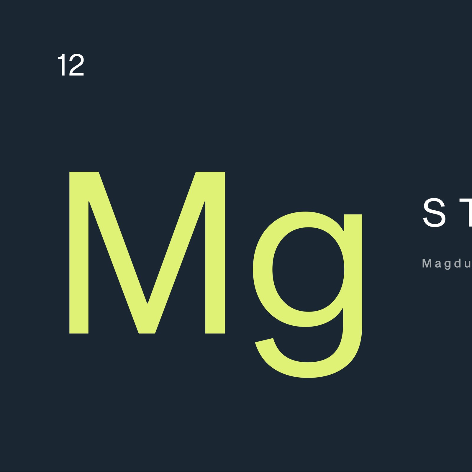 MG banner