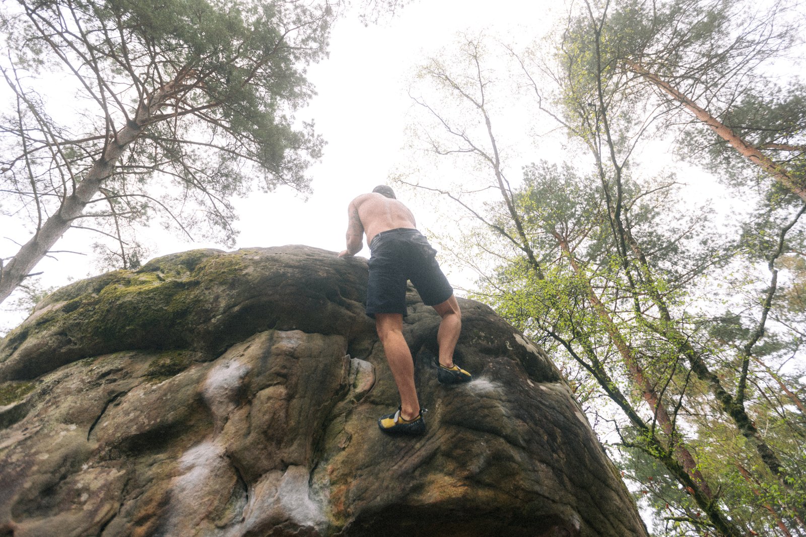 Fontainebleau