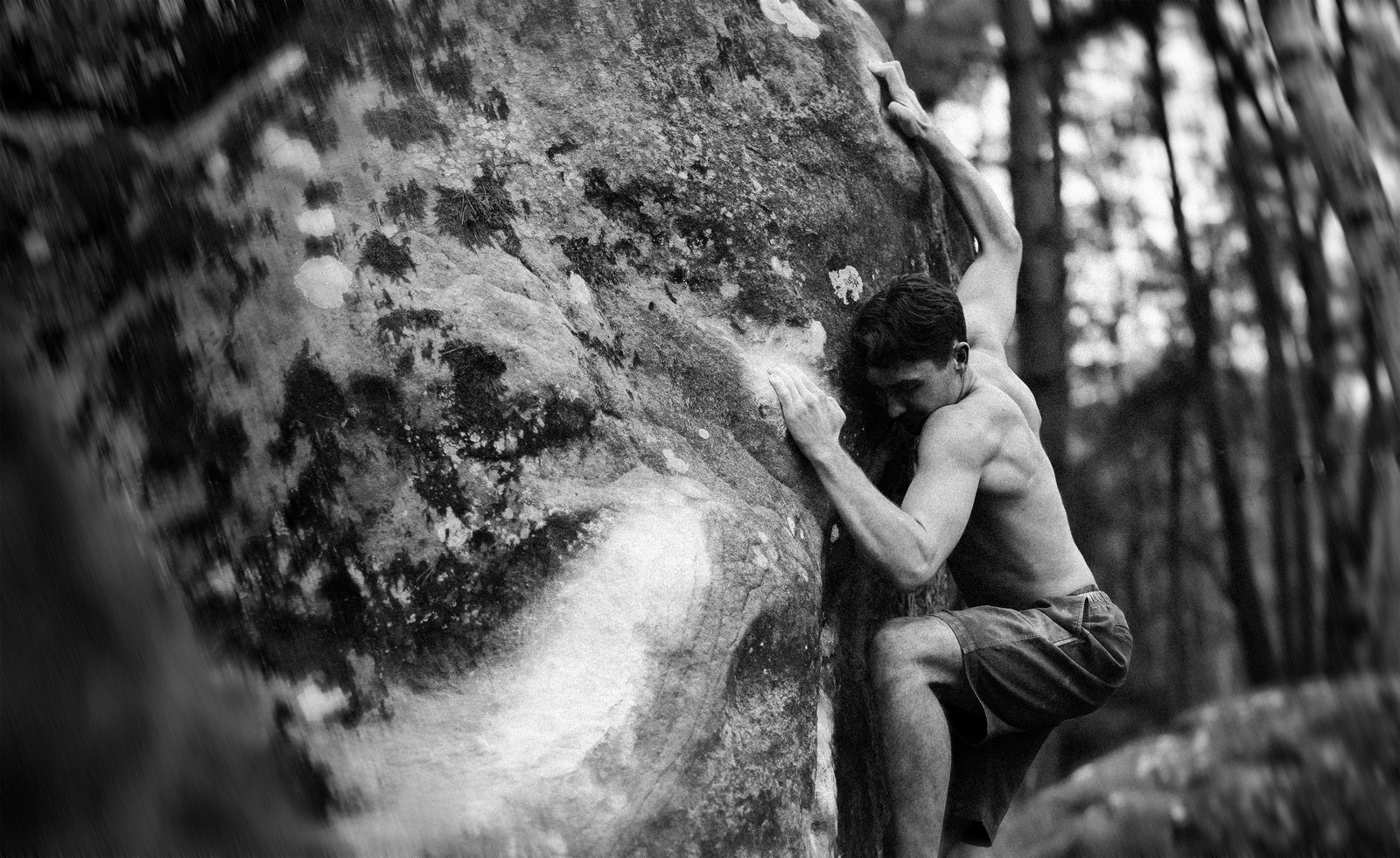 Fontainebleau