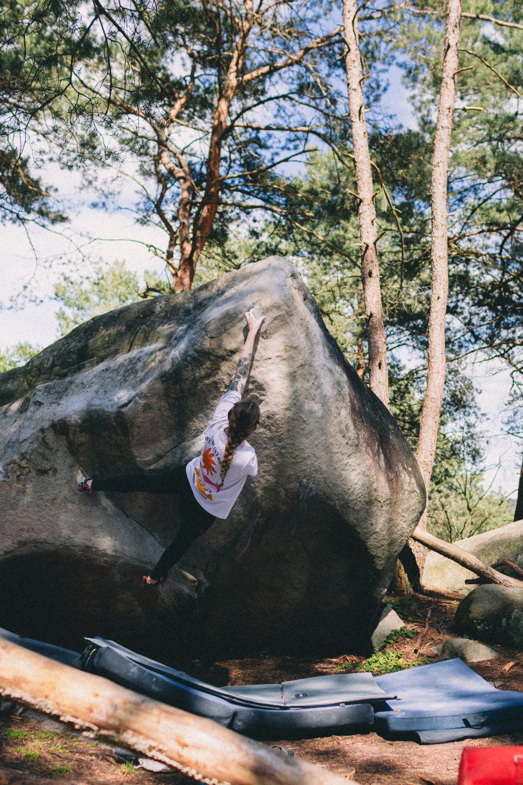 Fontainebleau