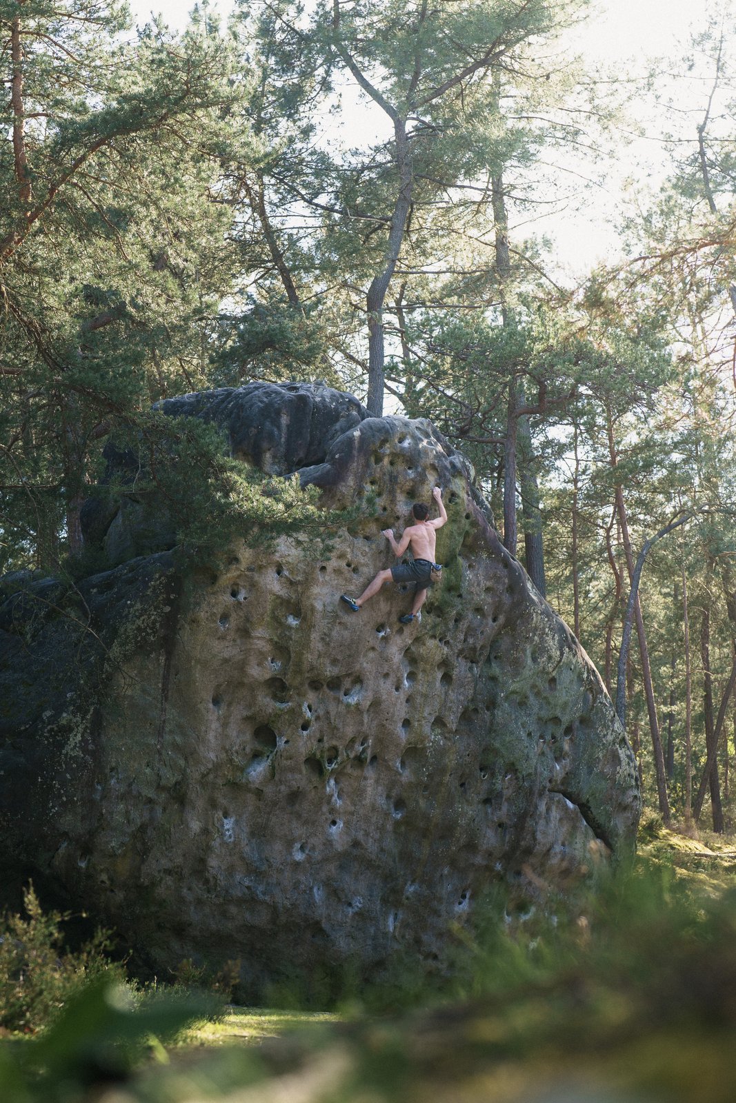 Fontainebleau