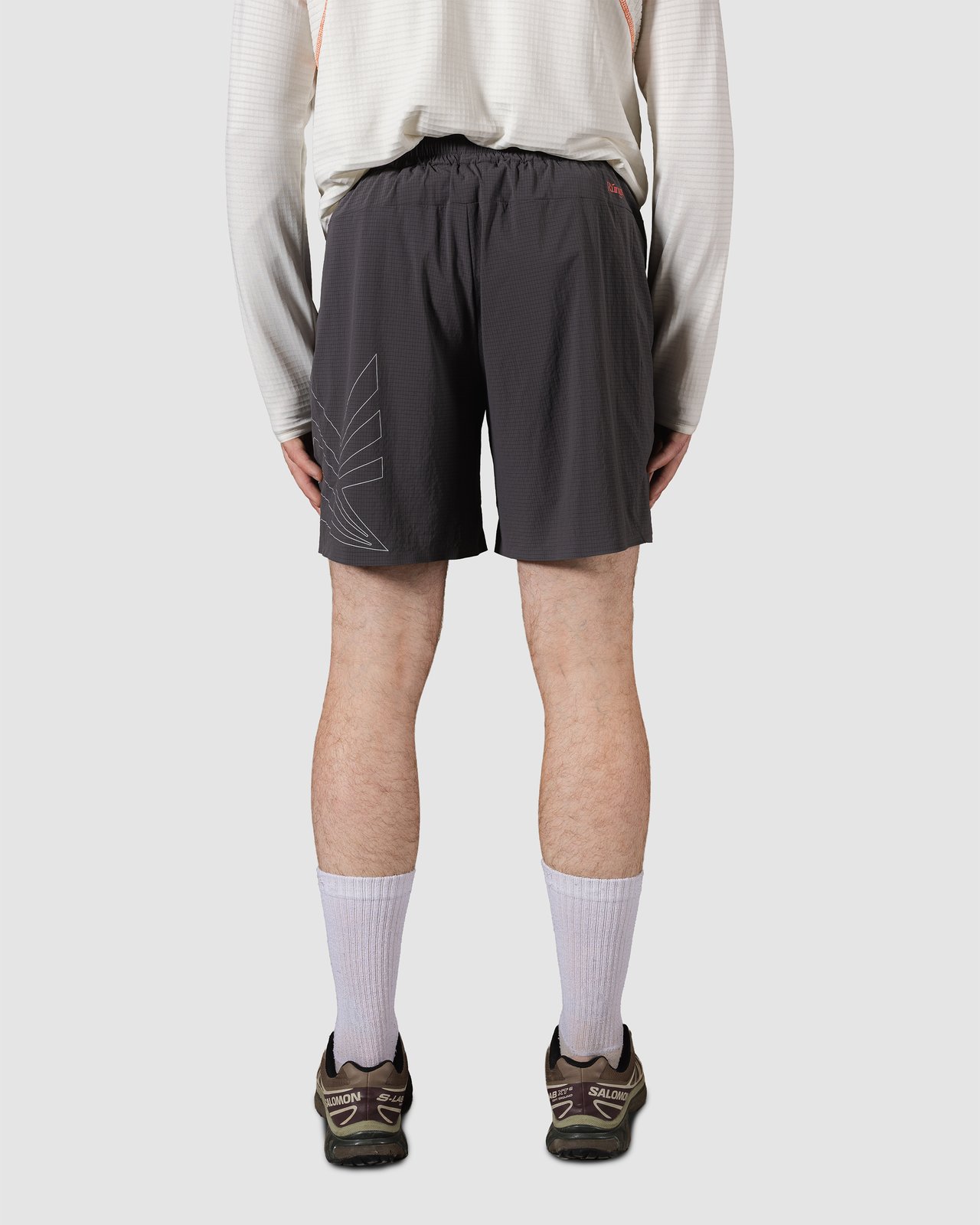 Peformance Collection_Model