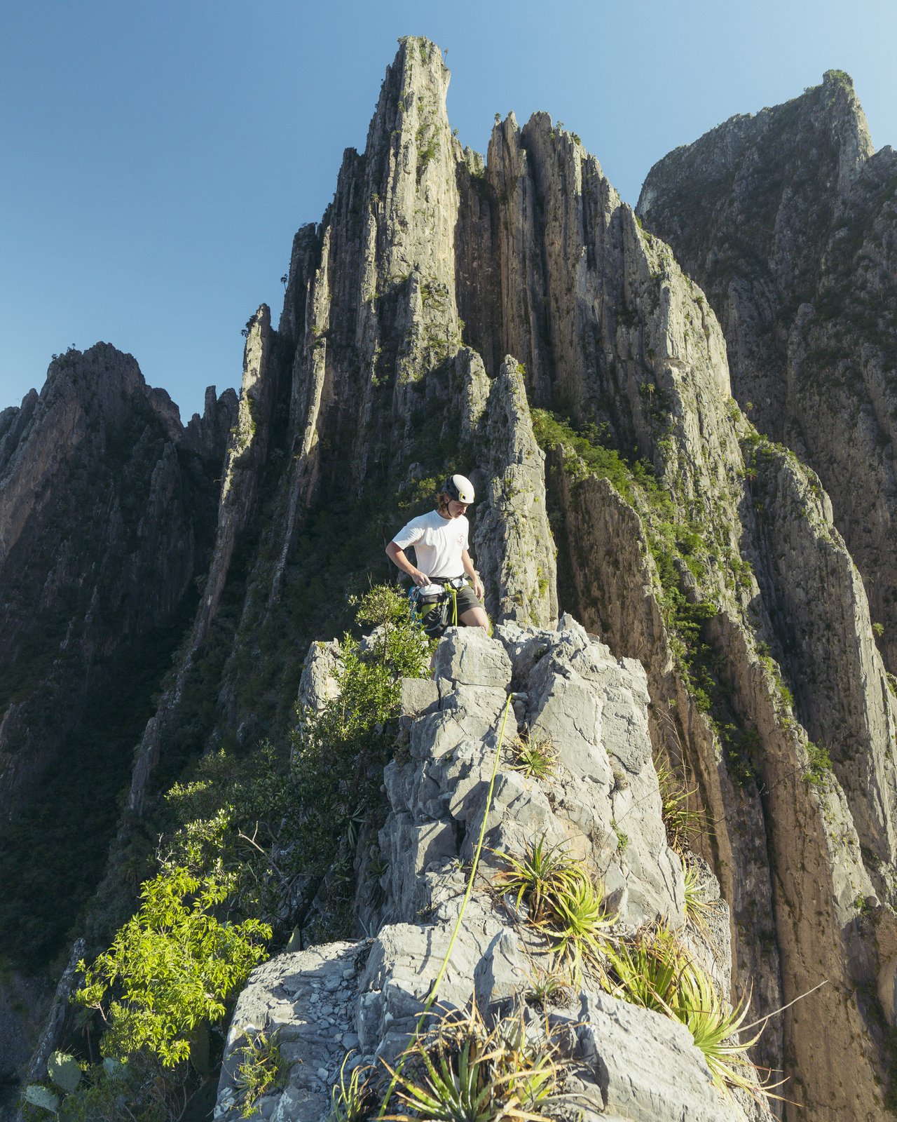 Chase (Mexico)