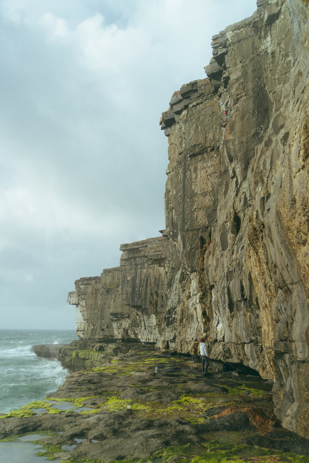 Chad (Ireland)